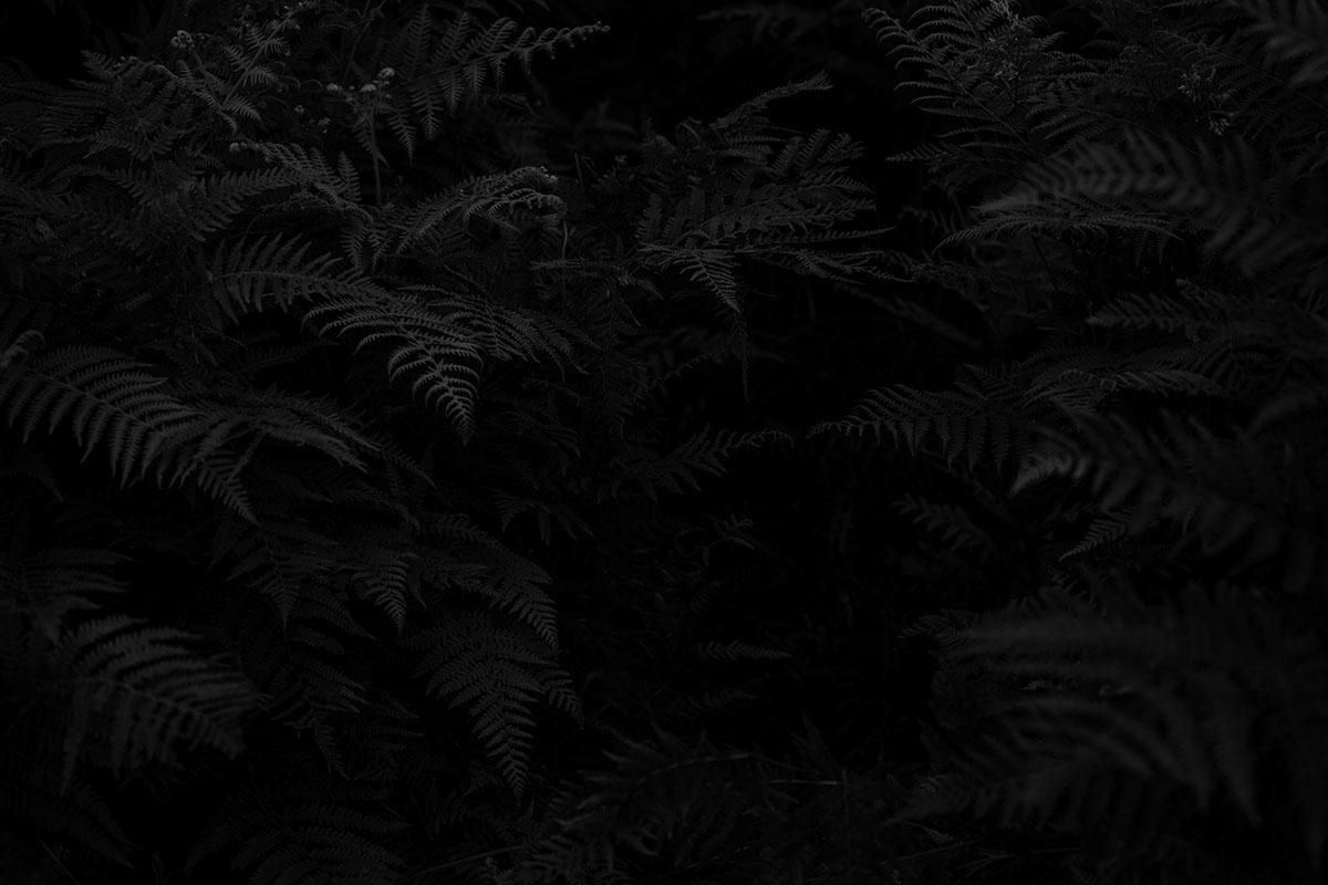 unsplash-image-CBh4D3l0EwM.jpg